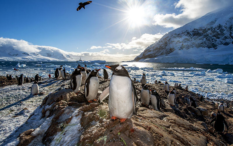 Antarctica | Fotojournalist Raymond Rutting