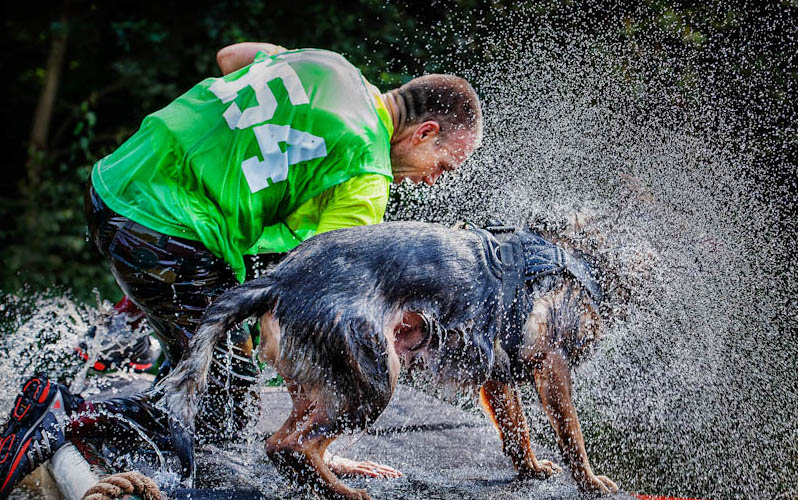 Dogs | Fotojournalist Raymond Rutting