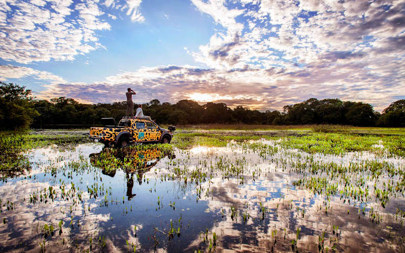 Pantanal | Fotojournalist Raymond Rutting