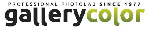 gallerycolor logo